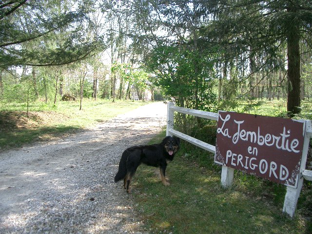La Jembertie en Périgord, Grignols - photo 21