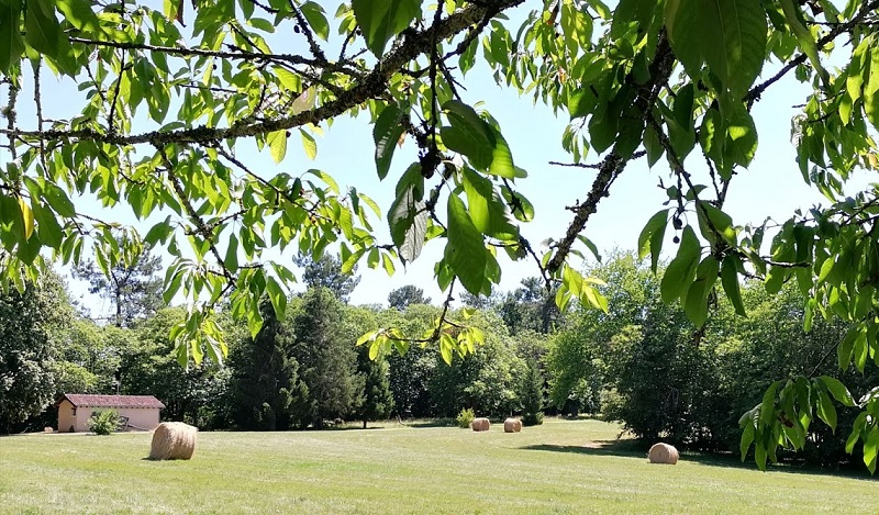 Étoile d'Isis - Petit gîte - photo 3