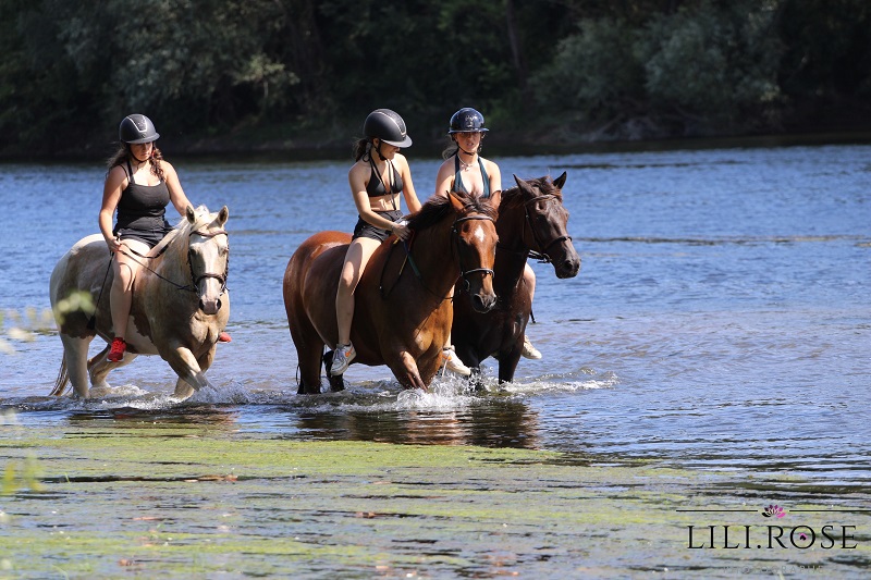 Centre Equestre l'Eperon Laurentais - photo 4