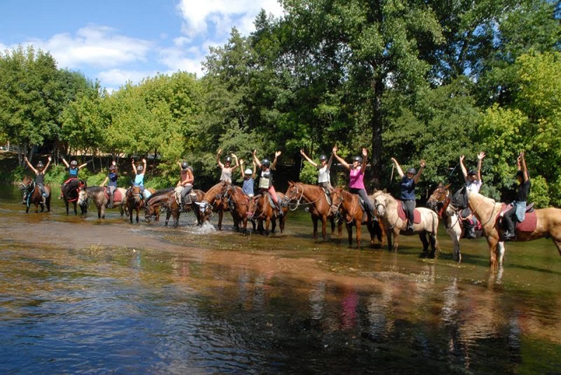 Equi'Périgord - photo 3