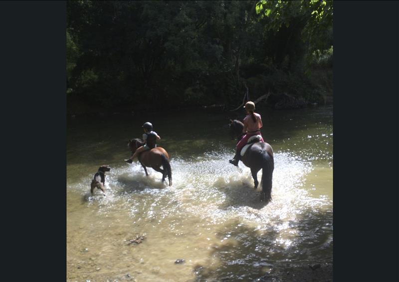Equii Libre, elevage d'ARROSA