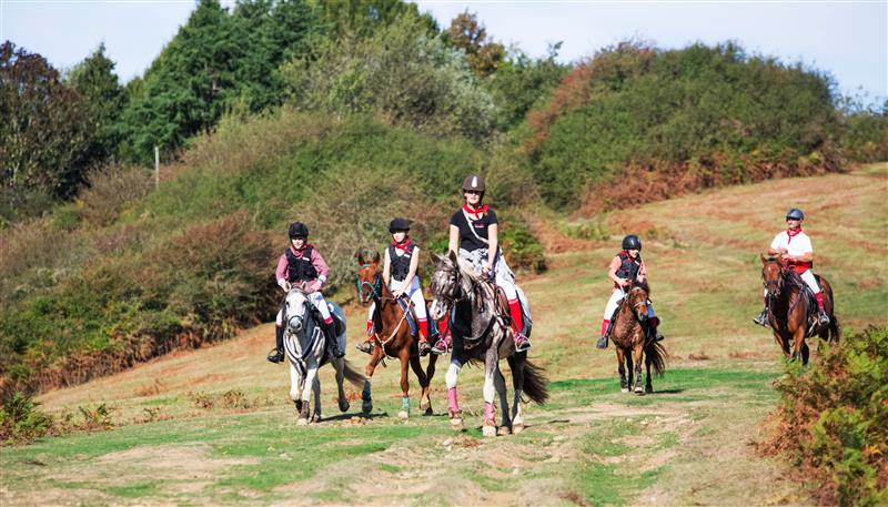 Equii Libre, elevage d'ARROSA