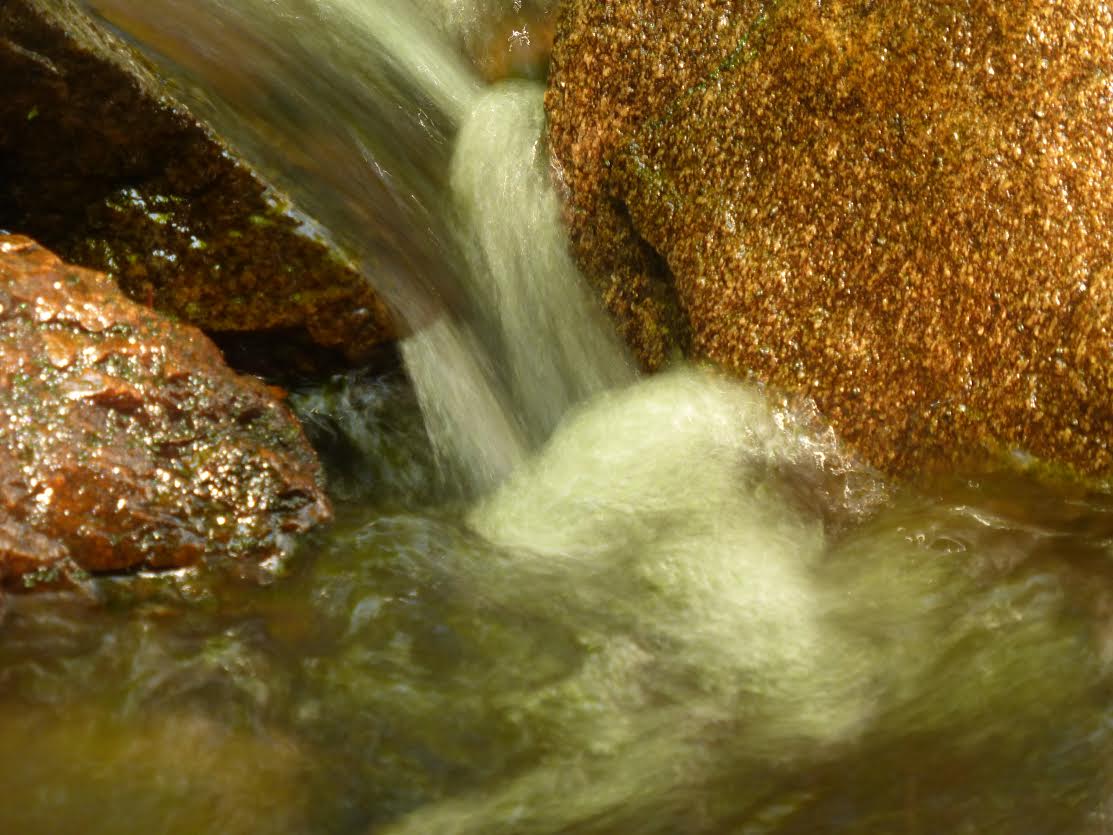 Escale de la Font Blanche — photo 3