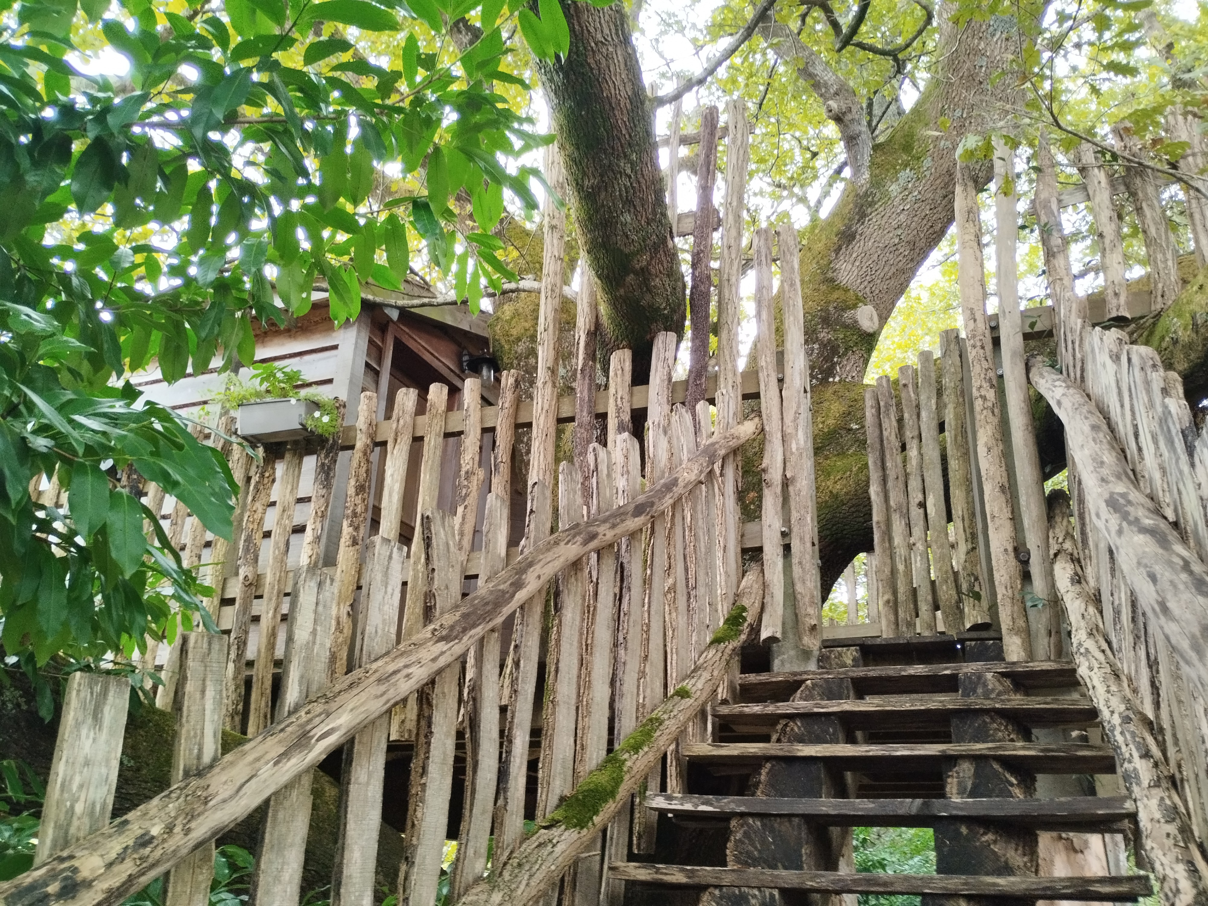 Cabane dans les arbres : la Papyjotte, Montfort-en-Chalosse - photo 26