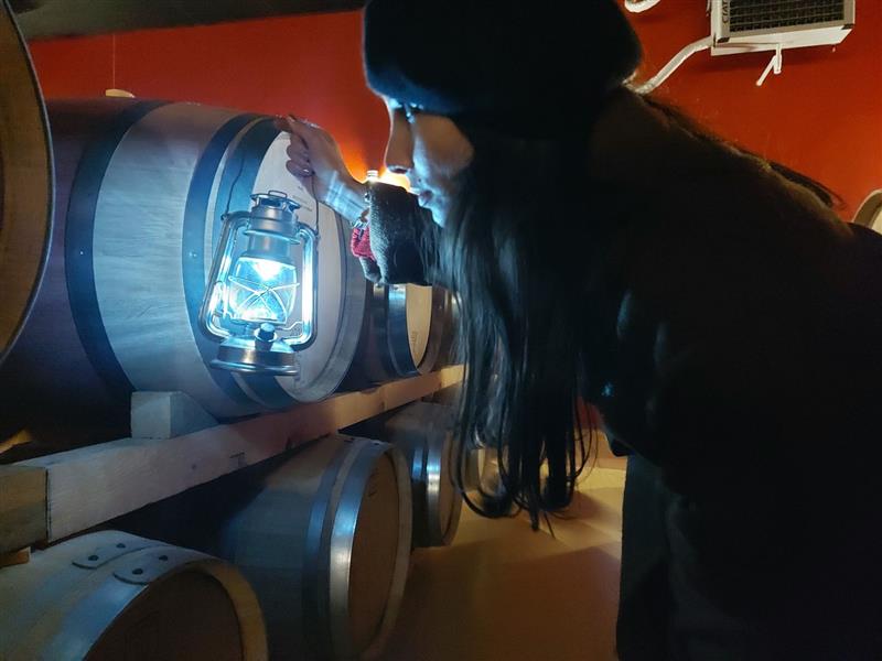 Escape game à la Cave et Château de Crouseilles 