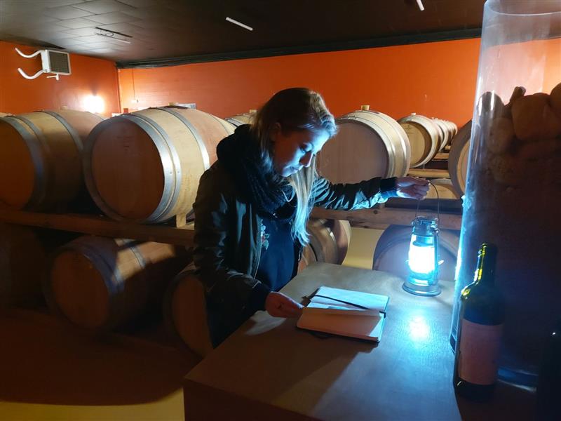 Escape game à la Cave et Château de Crouseilles 