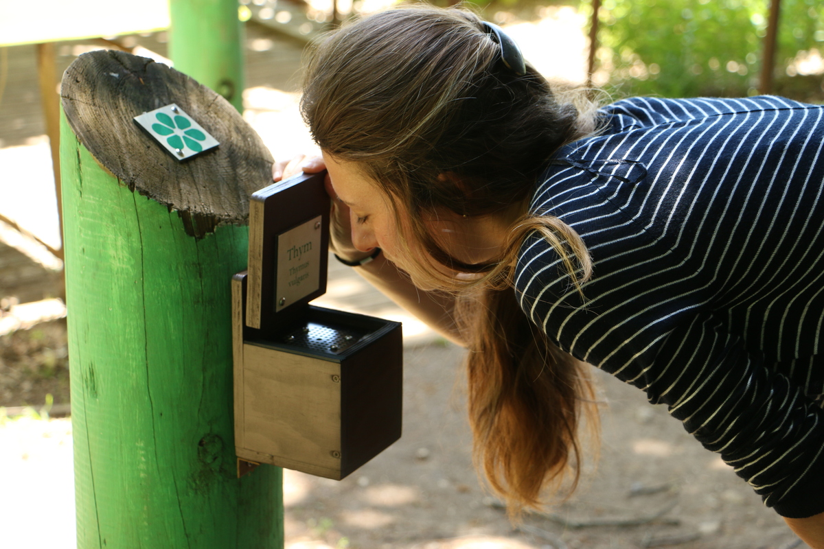 Escape game garden de Limeuil - photo 4
