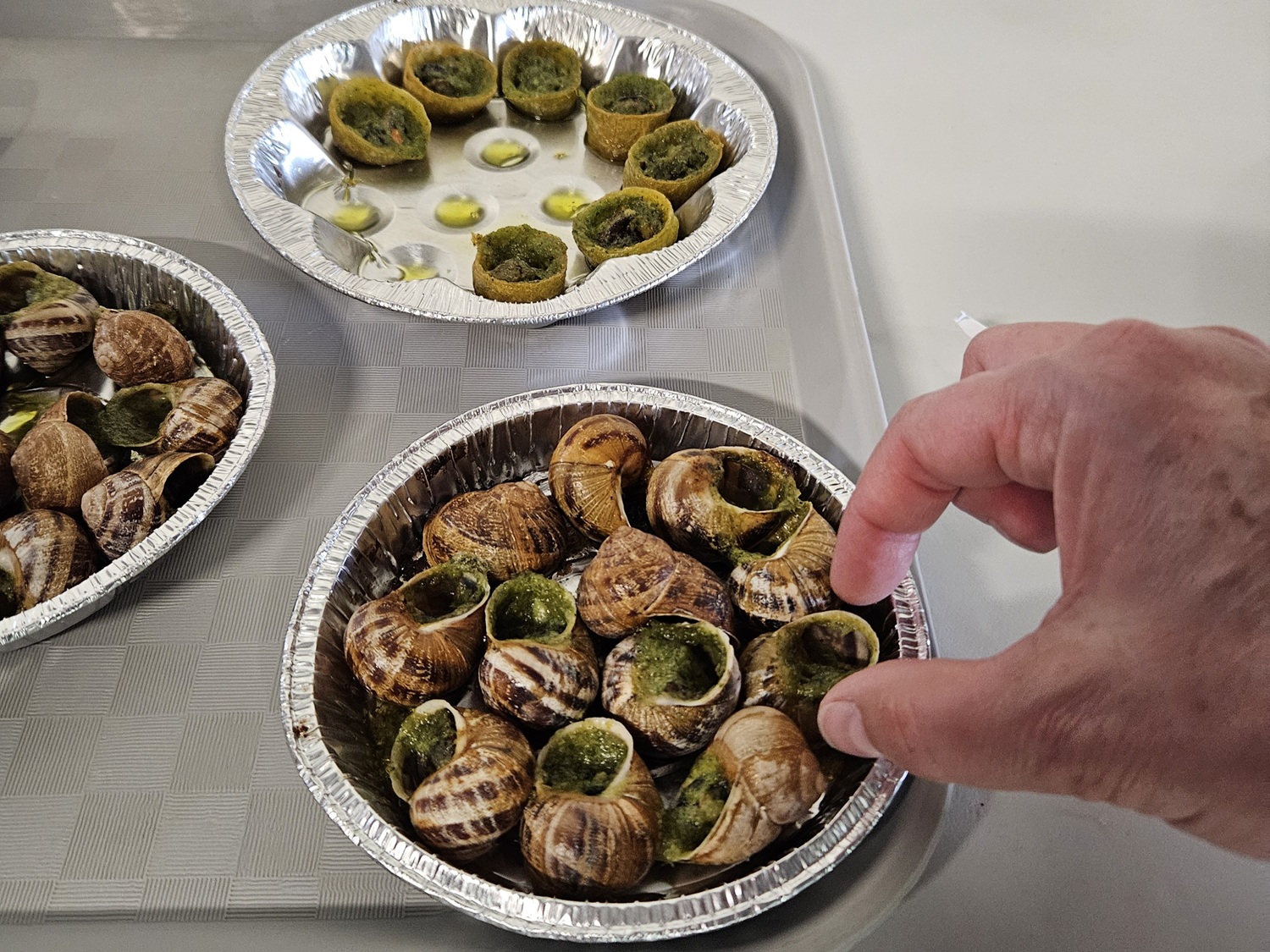 Visite des Escargots du Périgord et repas, Corgnac-sur-l'Isle - photo 2
