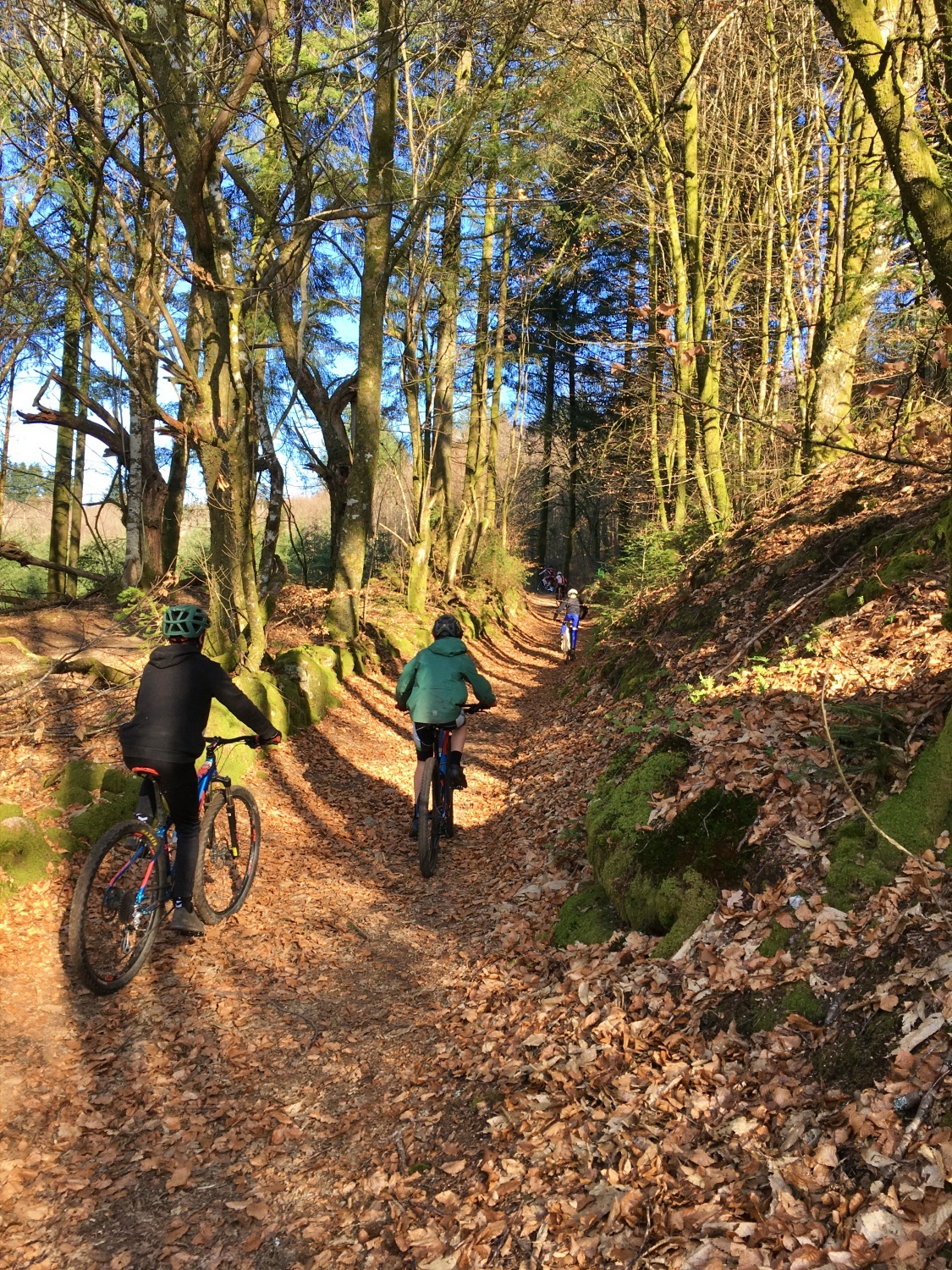 Espace VTT-FFC des Monts de Blond