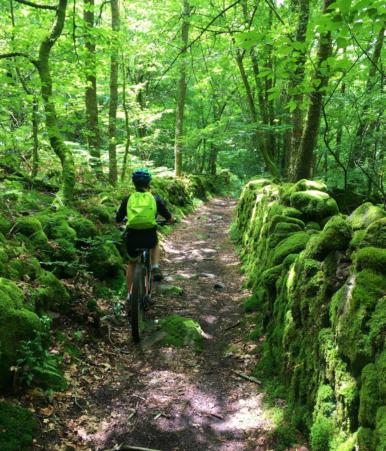 Espace VTT-FFC des Monts de Blond, Vaulry - photo 2