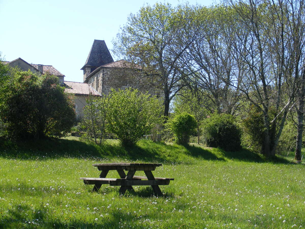 Les Randos des Nounous - Un parcours forestier - photo 2