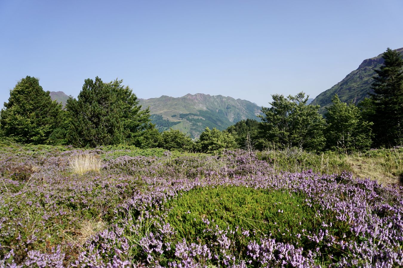 Espace Somport en été