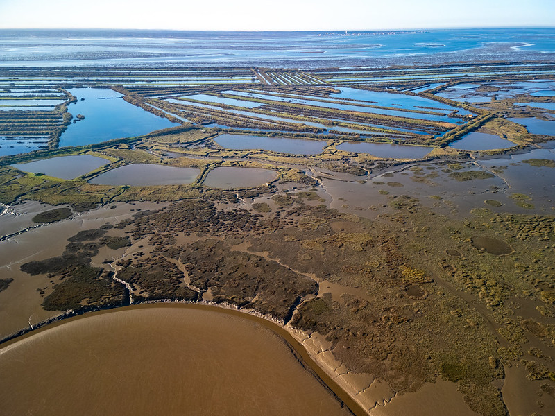 Tour de Gironde à vélo : étape 7 - Salles / Andernos, Salles - photo 4
