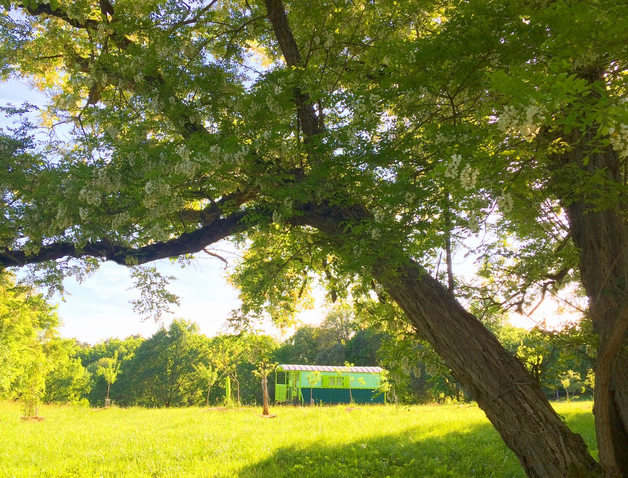 Esprit Bohème, Simeyrols - photo 6