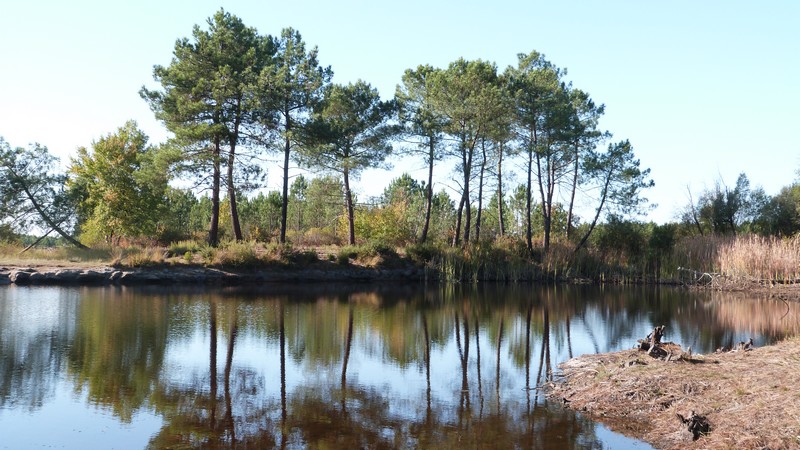 Etang de l'Estauleyre, Mios