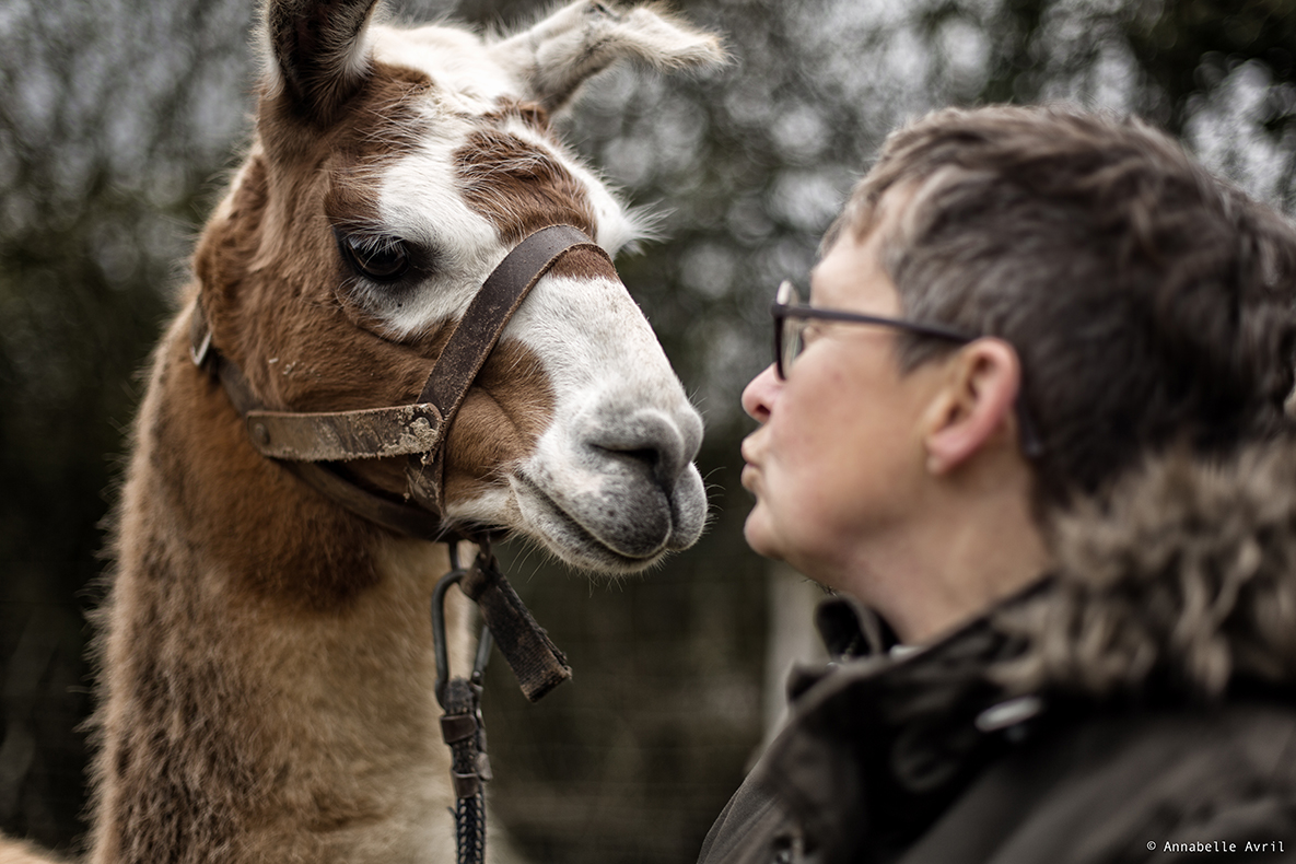 La Belle Ânée - photo 5