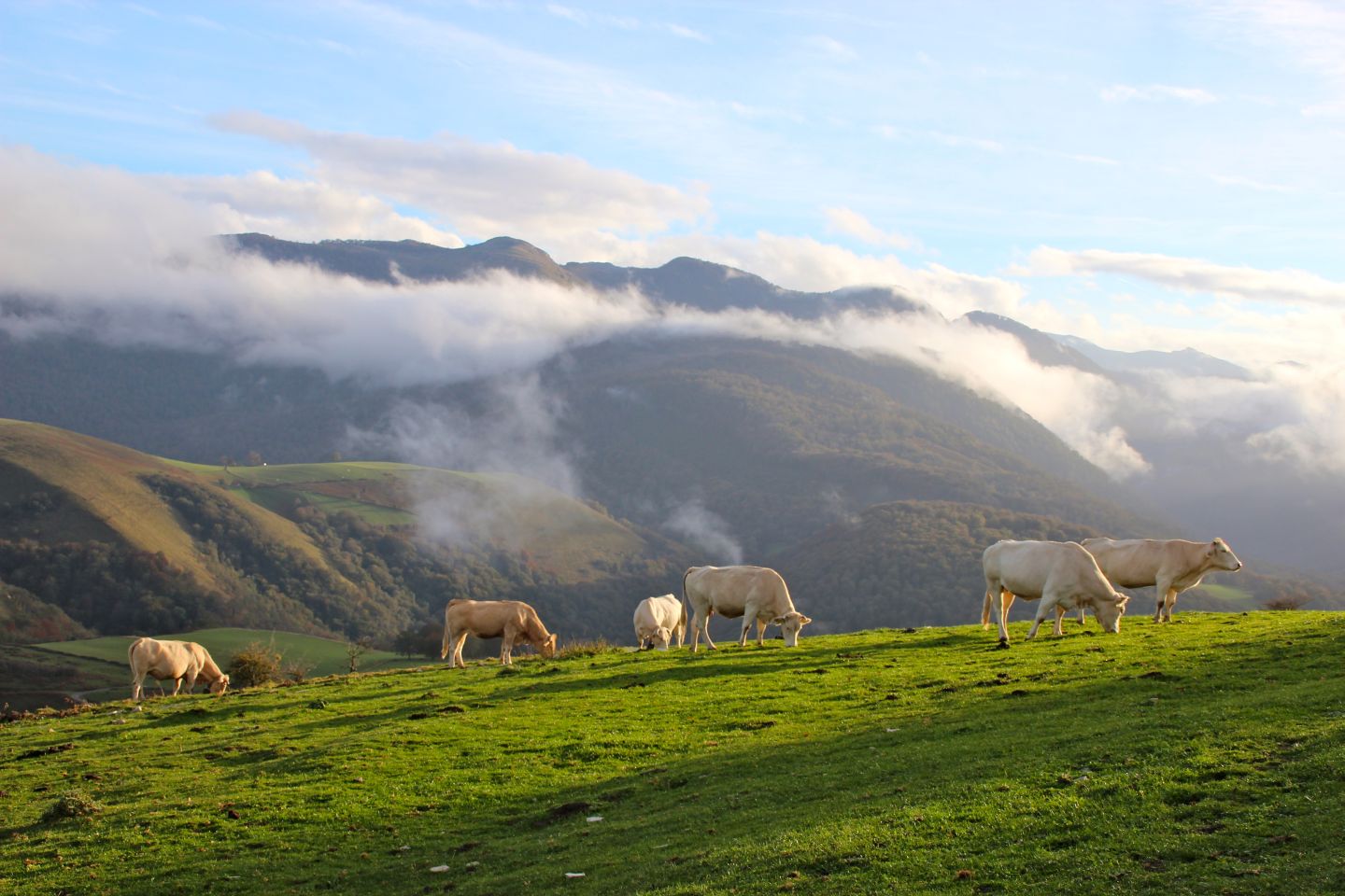 Evènement CPIE Pays Basque : "Irati dévoile ses secrets", Mendive - photo 2
