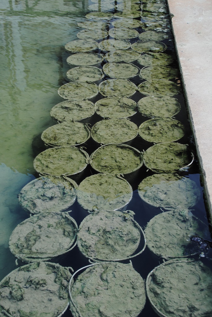 Etablissement thermal de Préchacq-les-Bains — photo 3