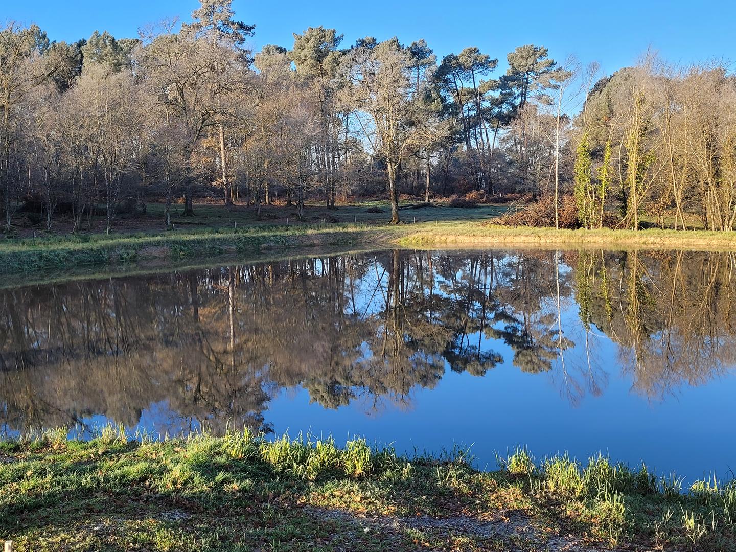 La Ferme du Parc, Saint-Étienne-de-Puycorbier - photo 9