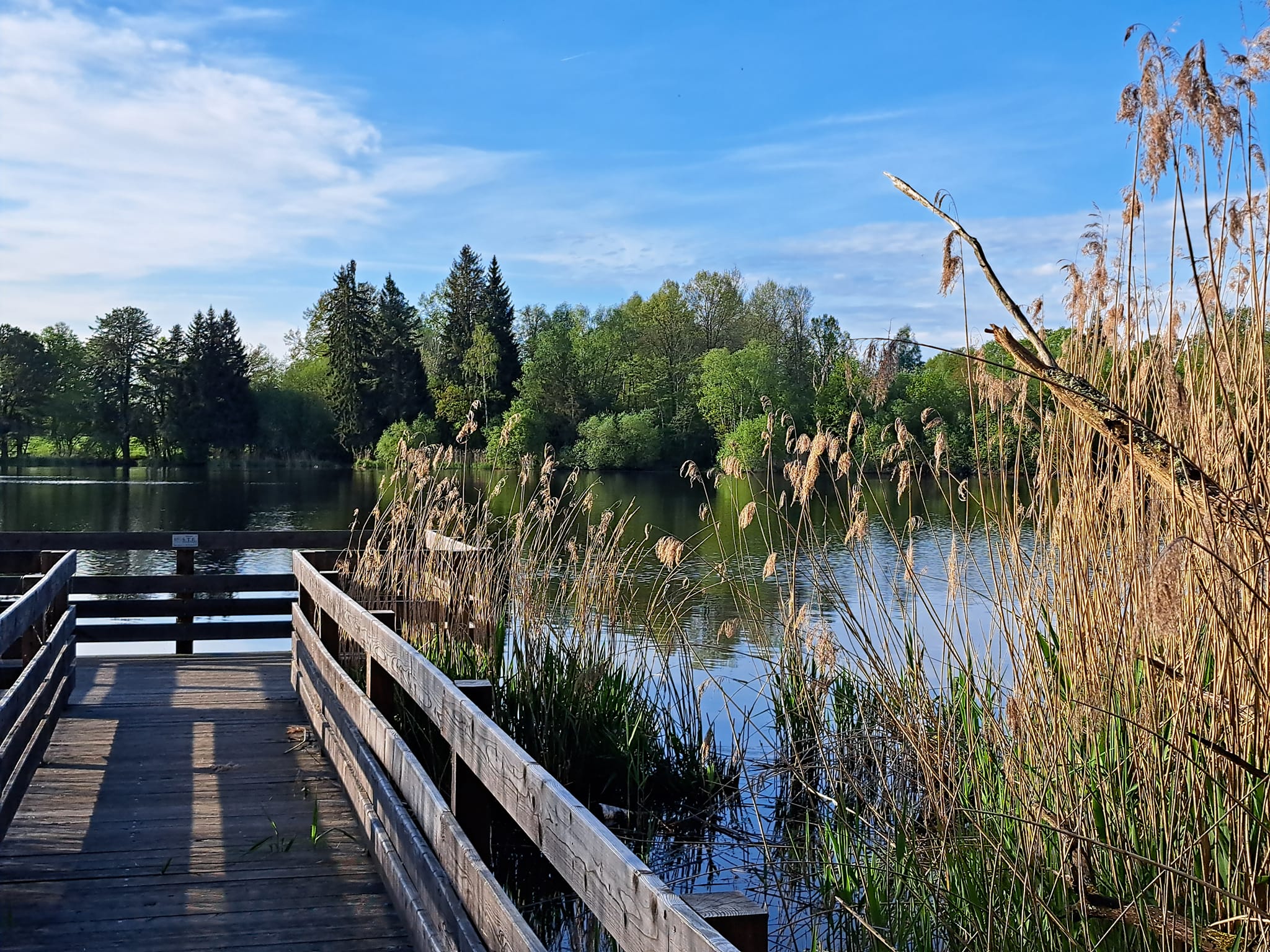 Le Repaire Creusois, Charron - photo 6