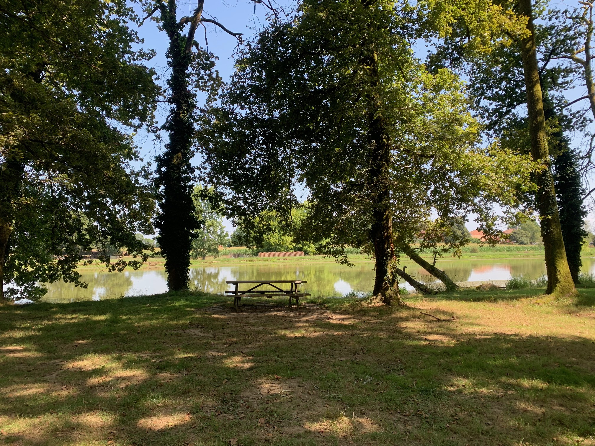 Gîte Maniort, Saint-Jean-de-Lier - photo 6