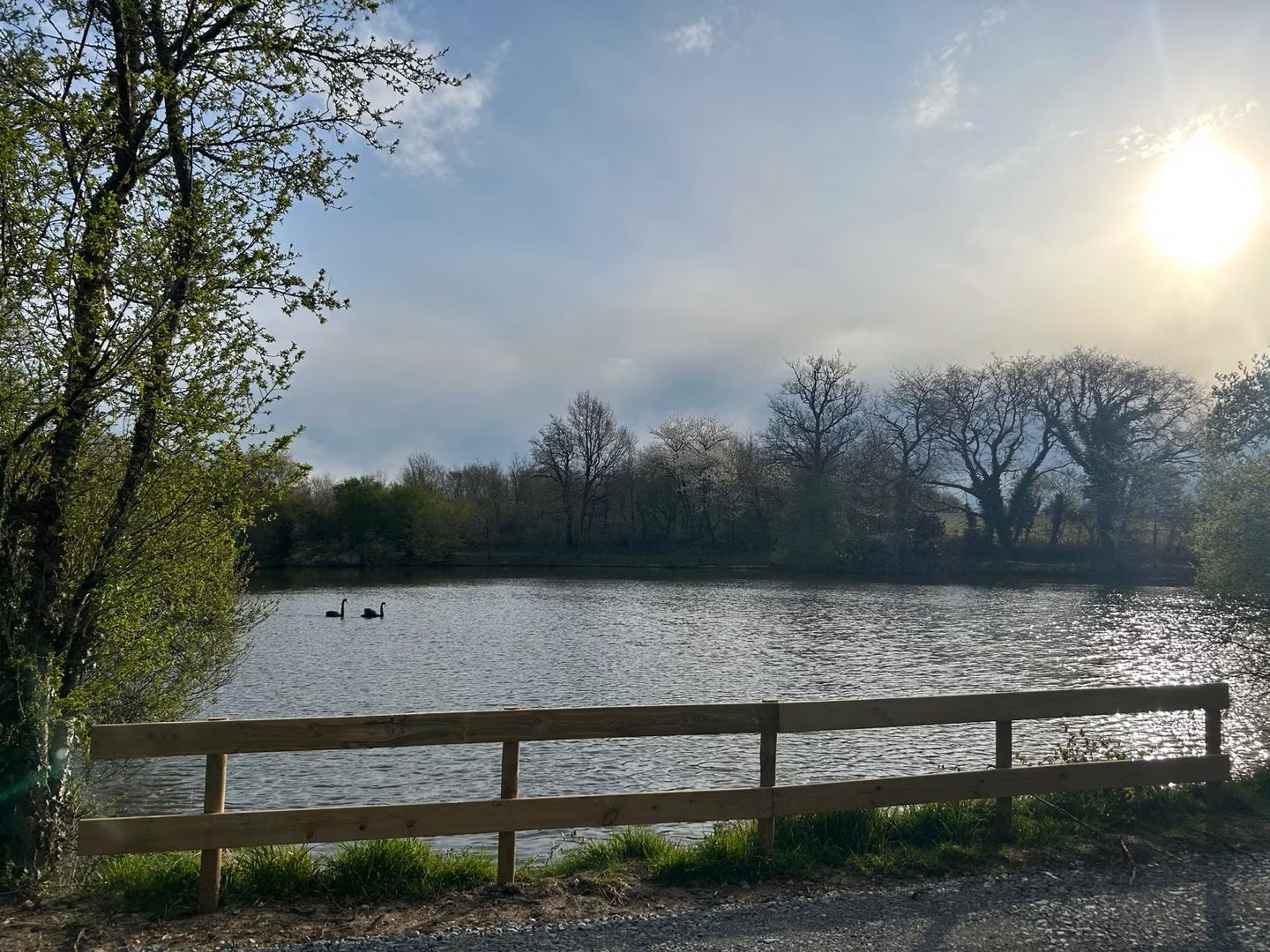 Les Étangs du Cygne Noir, Queaux - photo 7
