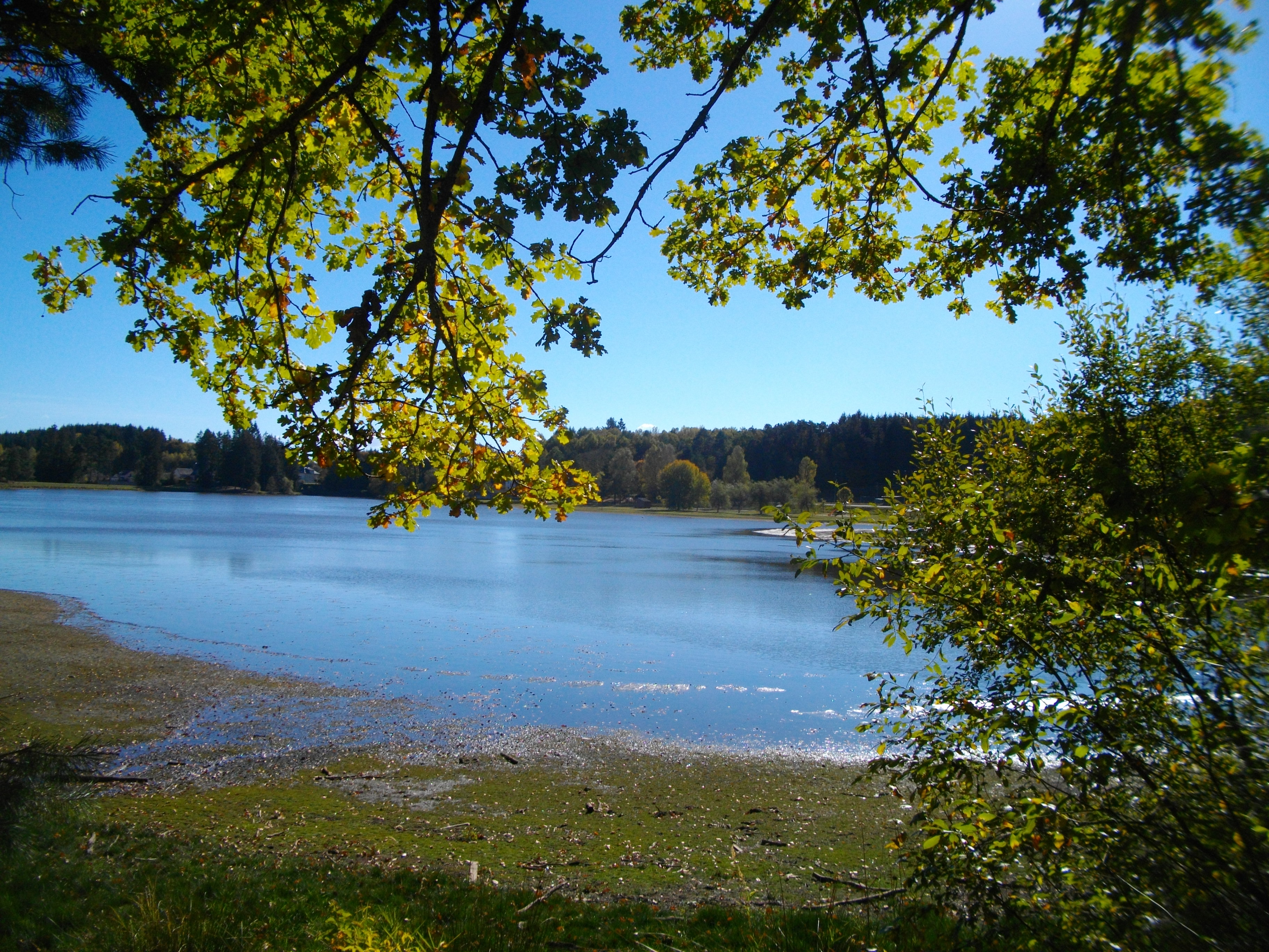 VTT - Gravel - De Feyt à Monestier - 17 km - circuit 62, Merlines - photo 5