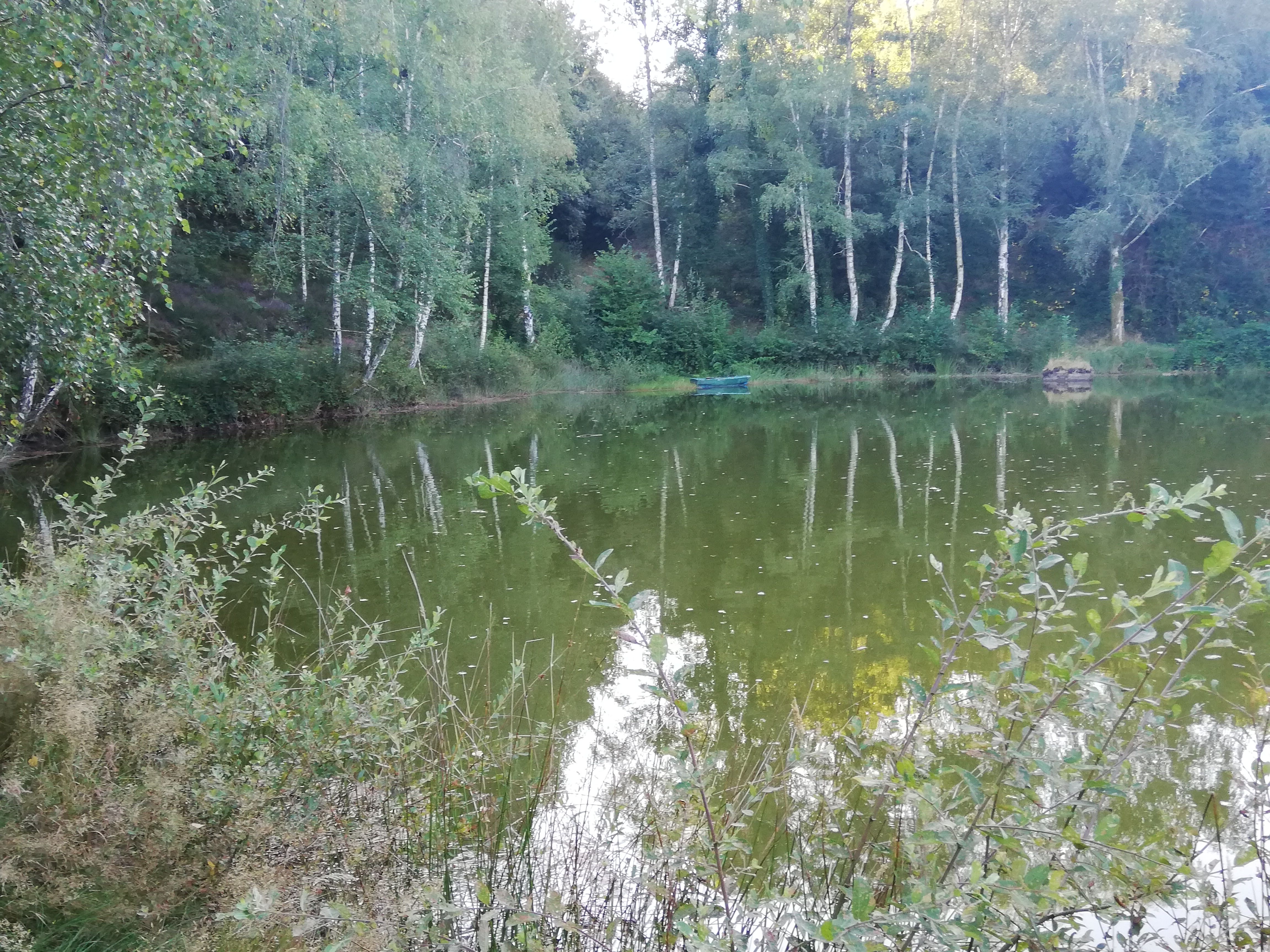 Chambre d'Hôtes Référence La Pierre Belle - photo 2