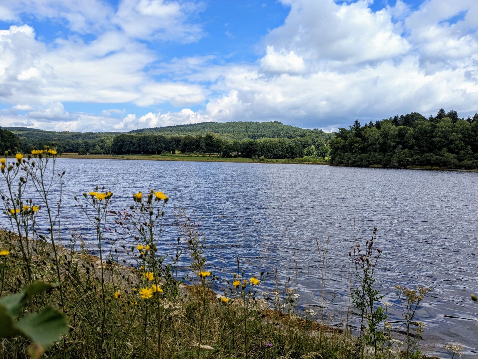 Entre lac et étang