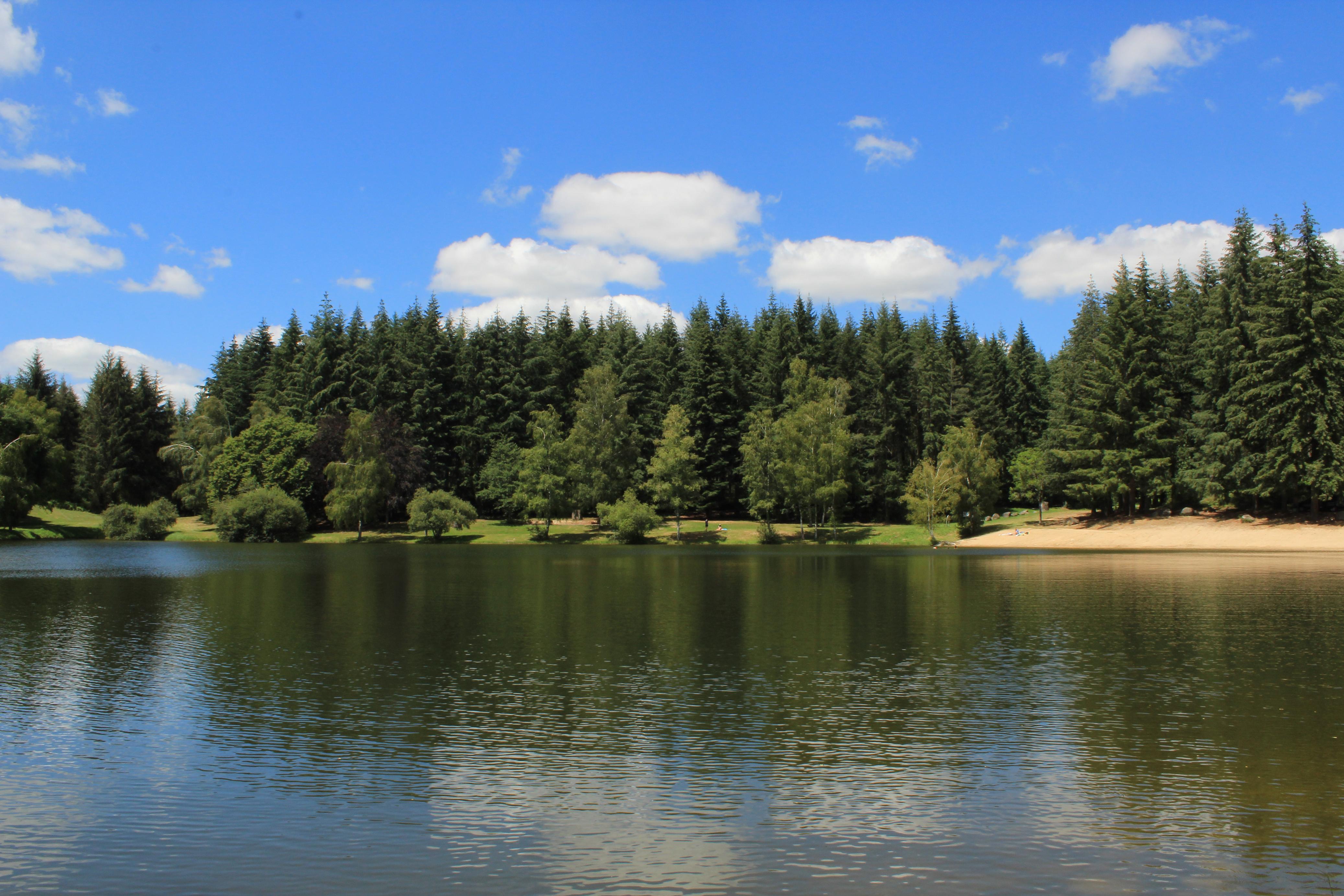 Etang de la forêt : baignade