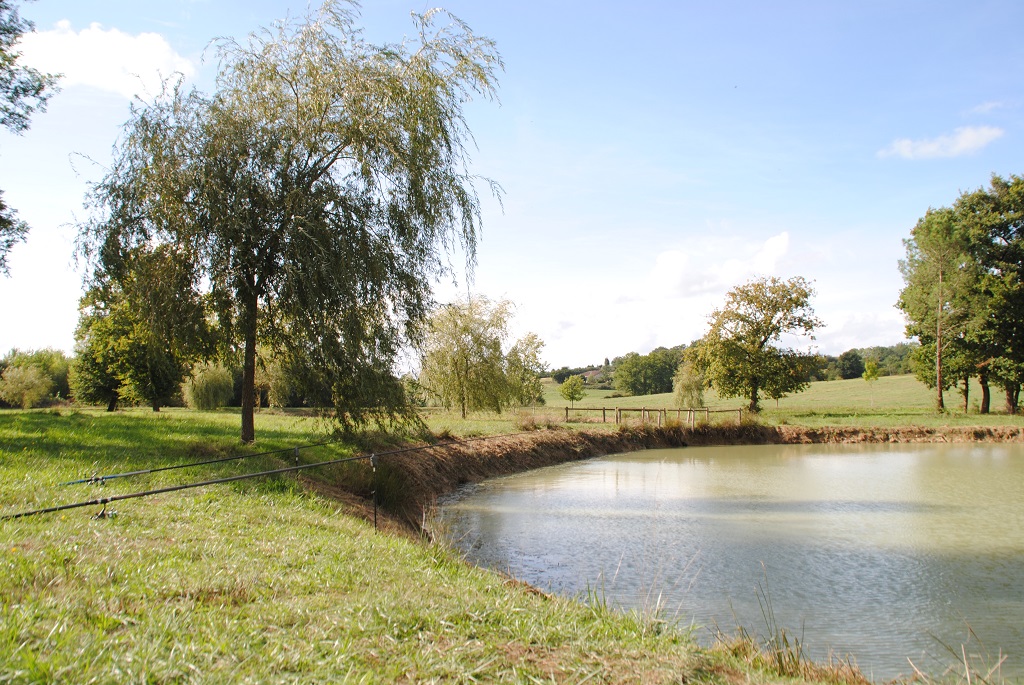 Etang de Lourquen, Lourquen - photo 7