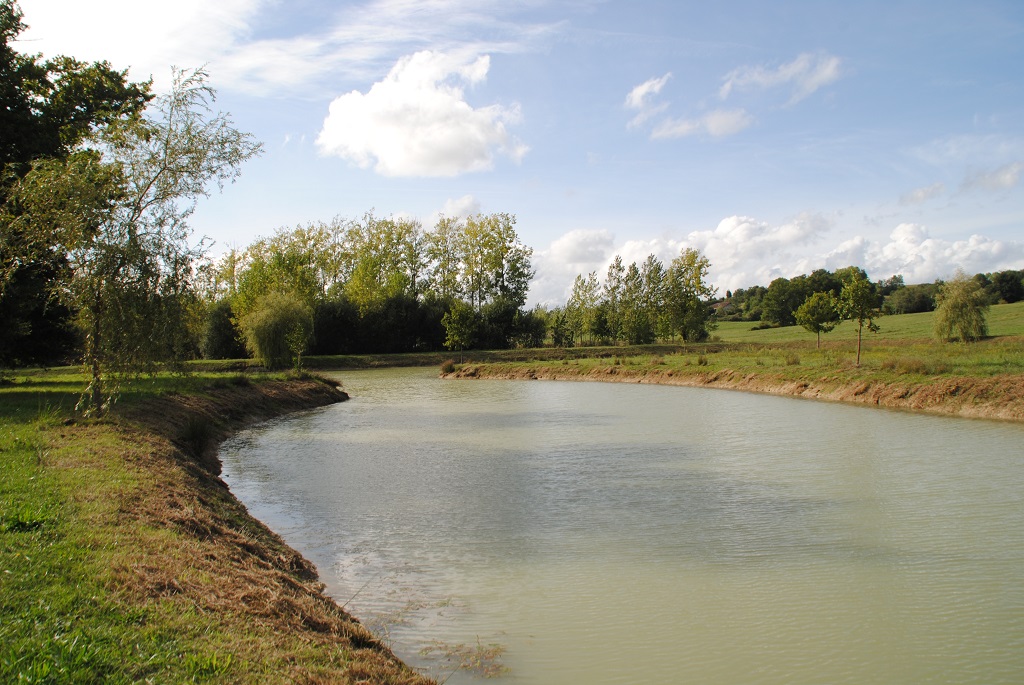 Etang de Lourquen, Lourquen - photo 8