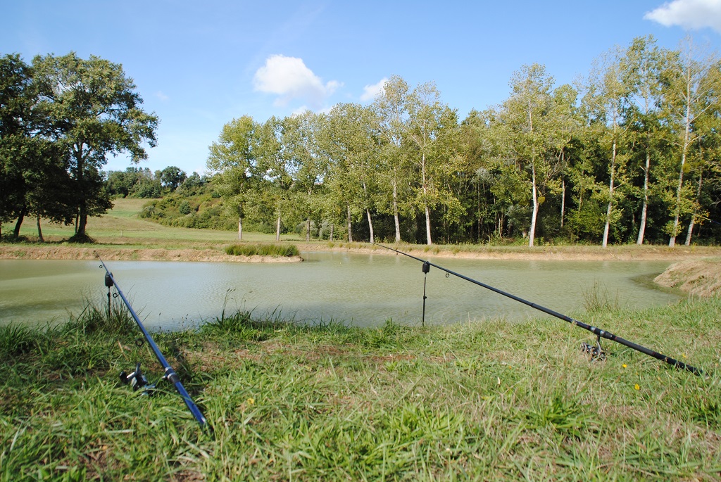 Etang de Lourquen, Lourquen - photo 3