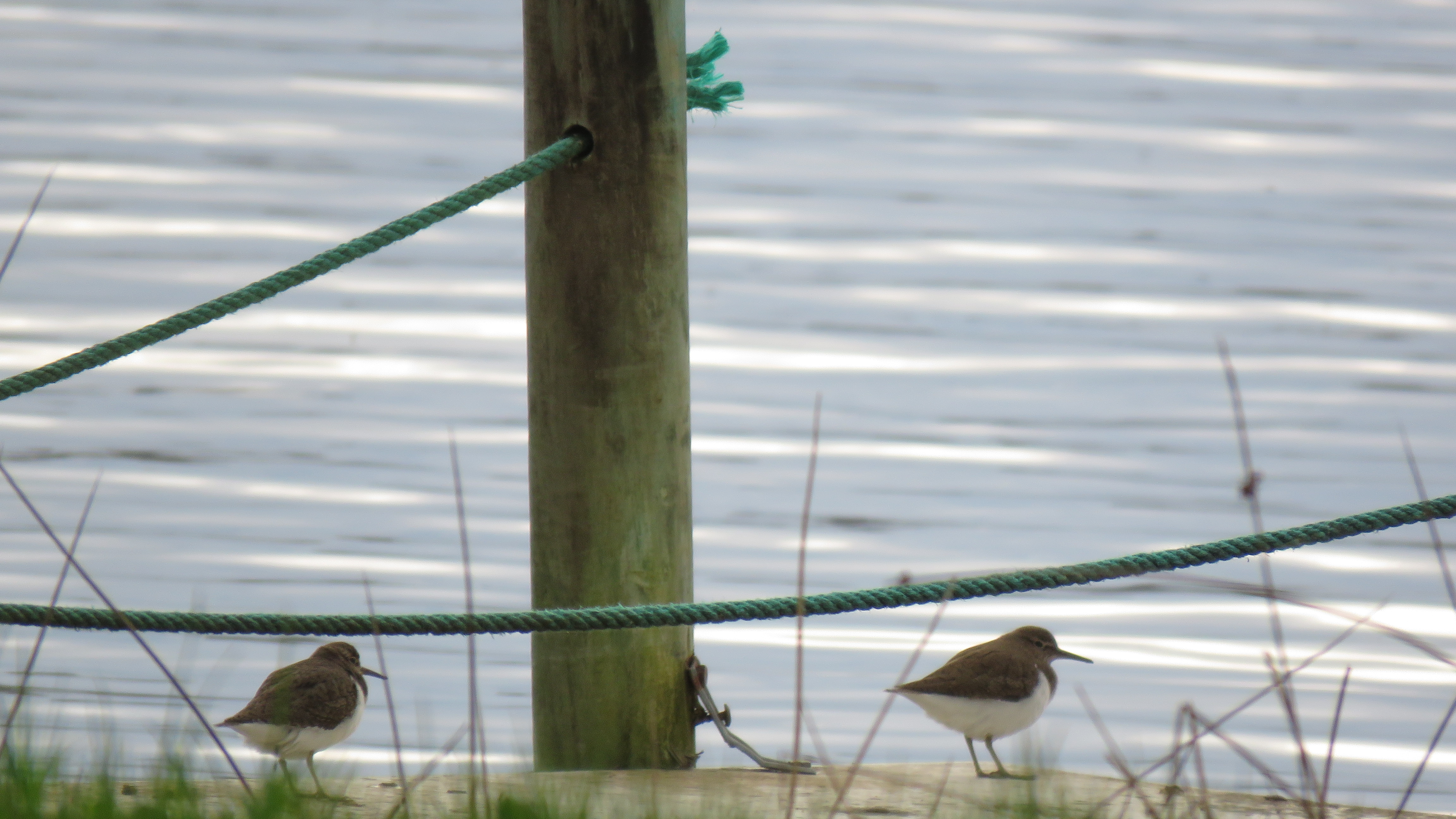Étang de Méouze - photo 2