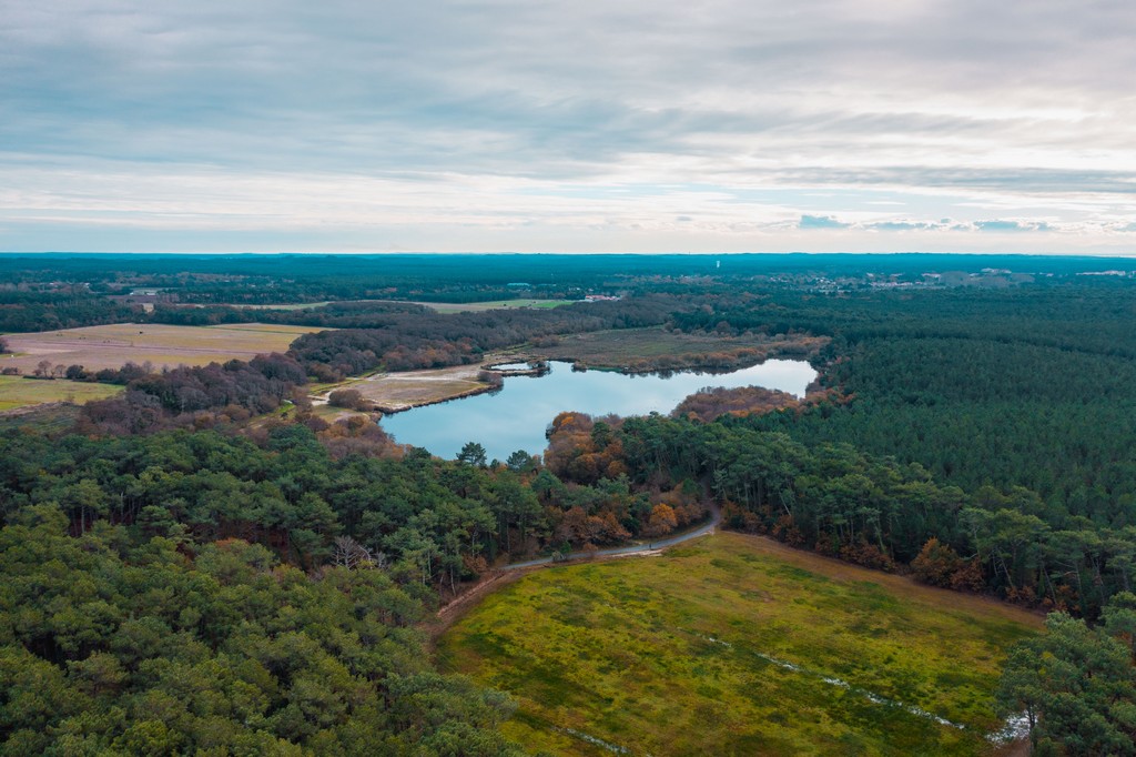 Etang de Moïsan