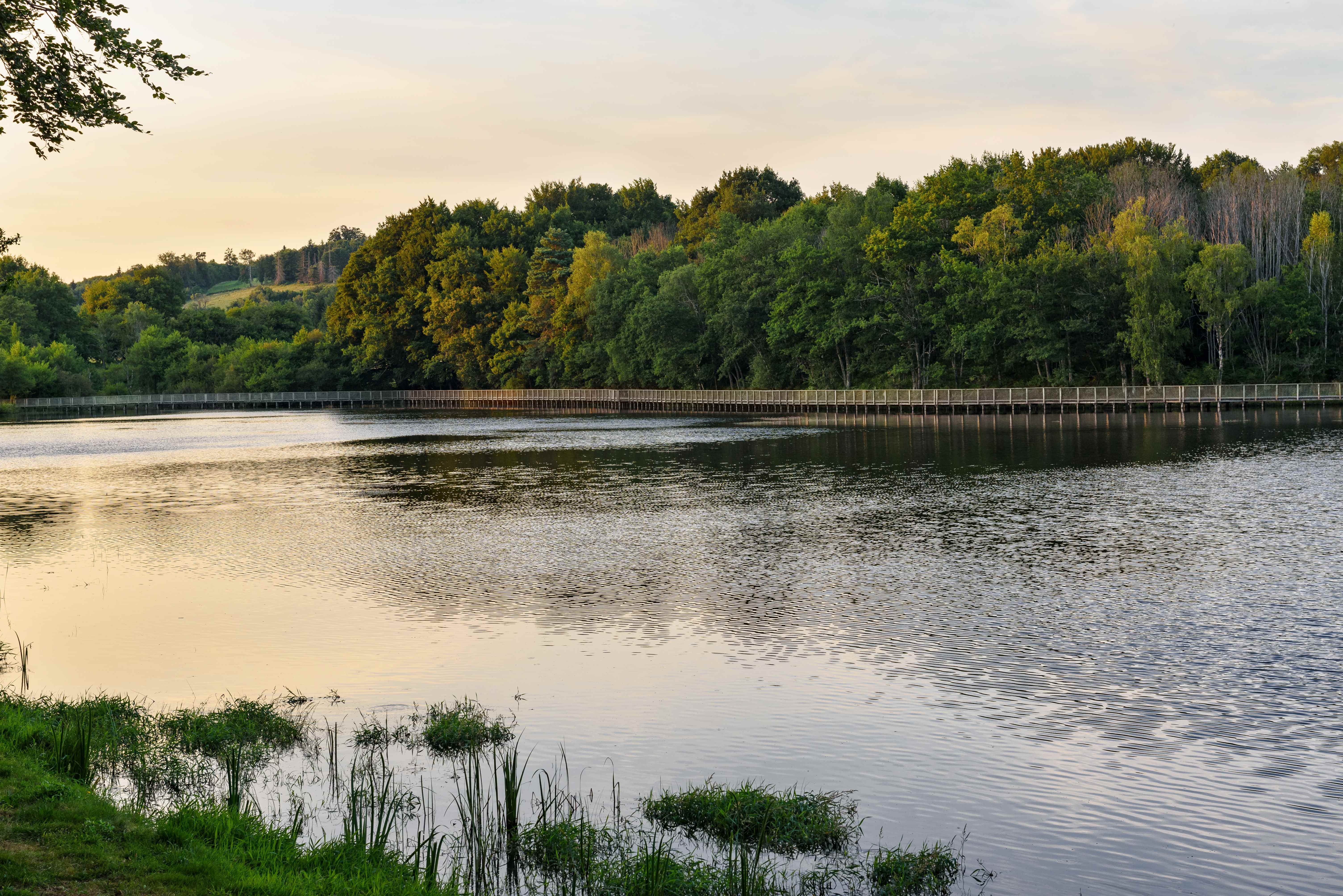 Étang de la Besse