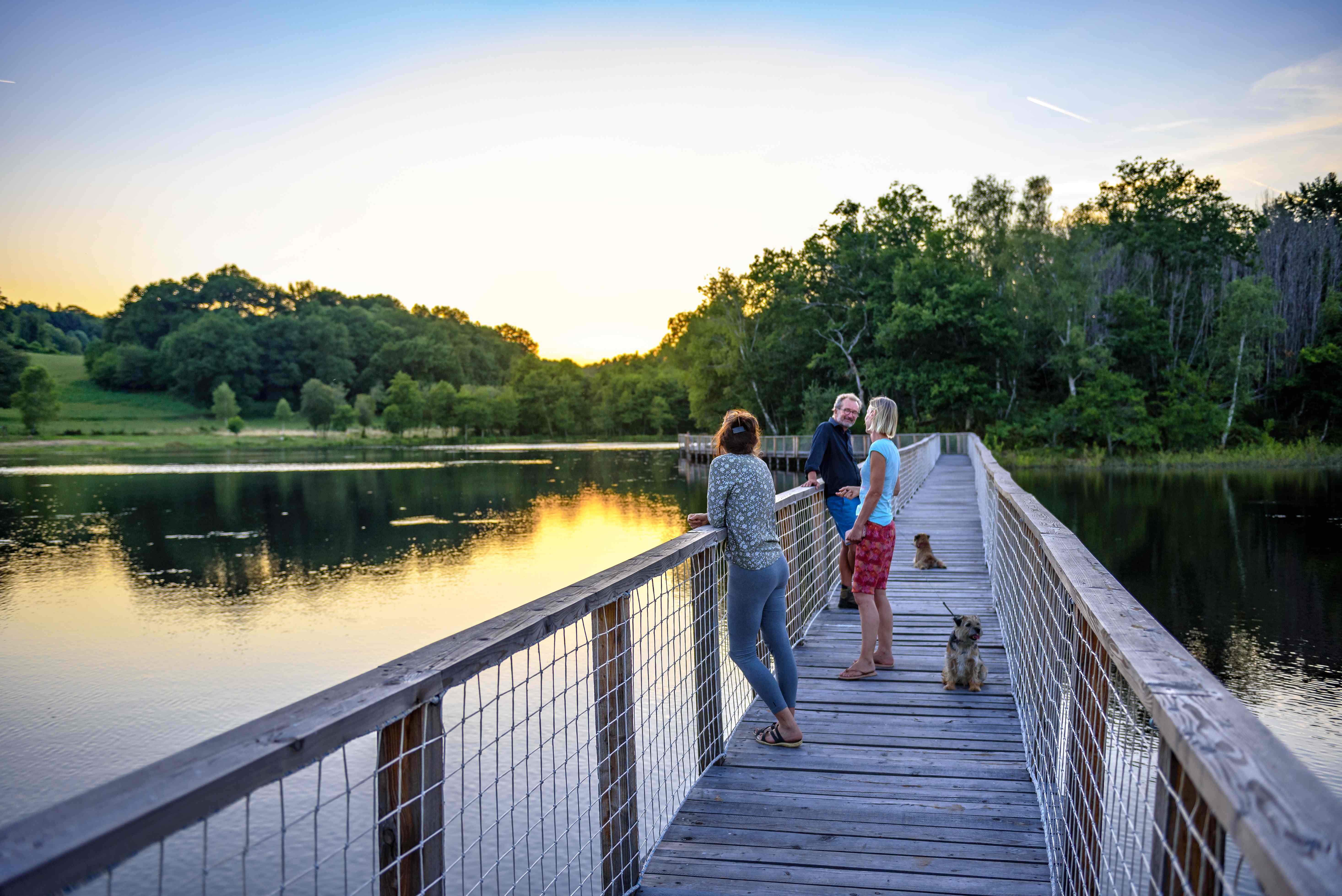 Étang de la Besse, Meilhards - photo 6