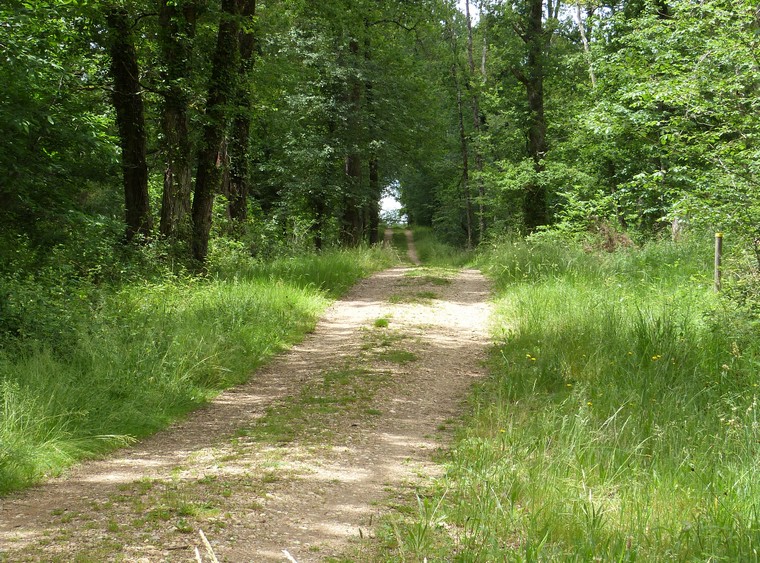 Les Etangs de la Jemaye, La Jemaye-Ponteyraud - photo 23