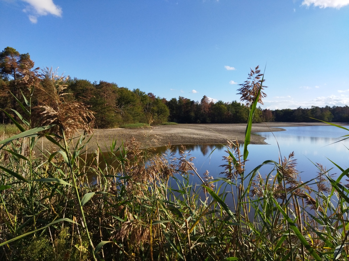 Les Etangs de la Jemaye, La Jemaye-Ponteyraud - photo 26