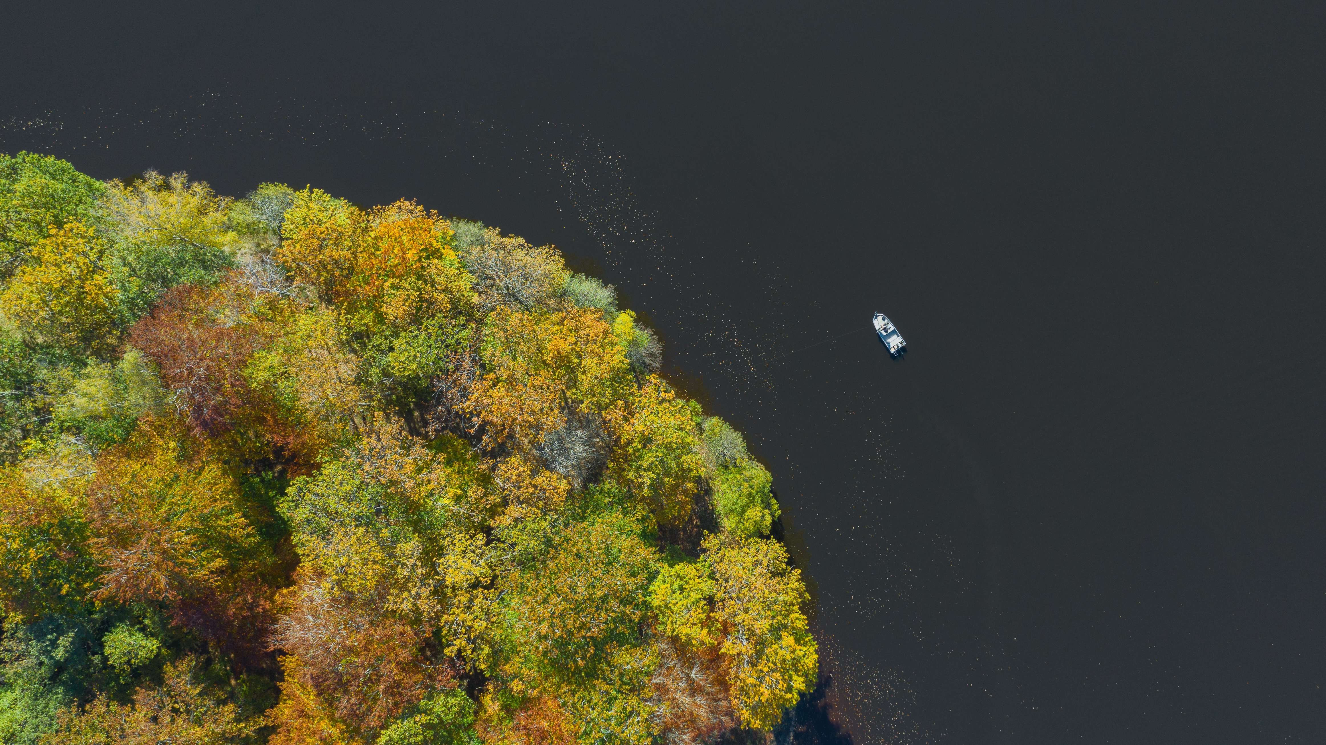 Etang de la Ramade - photo 3