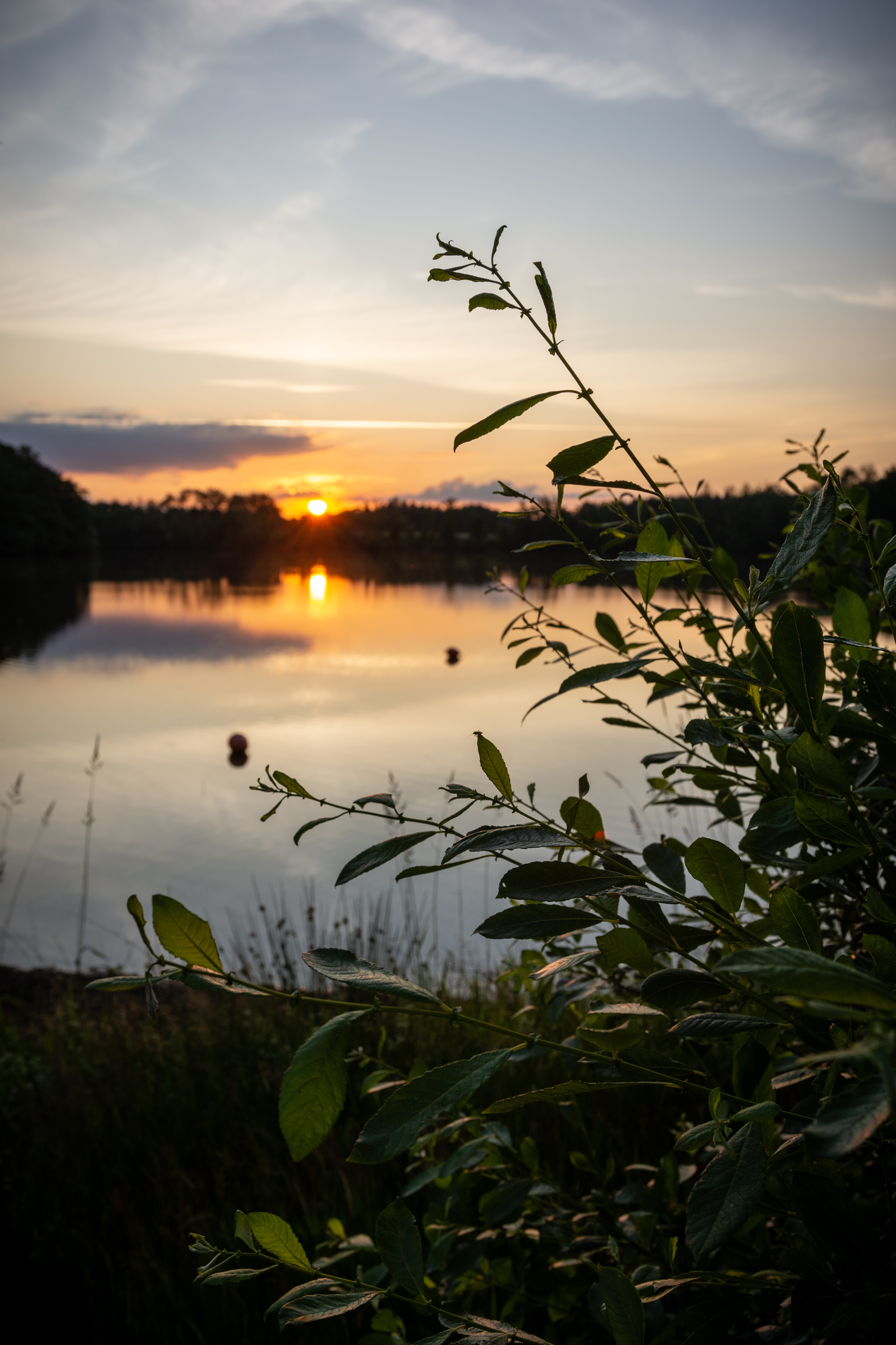Etang de la Ramade - photo 2