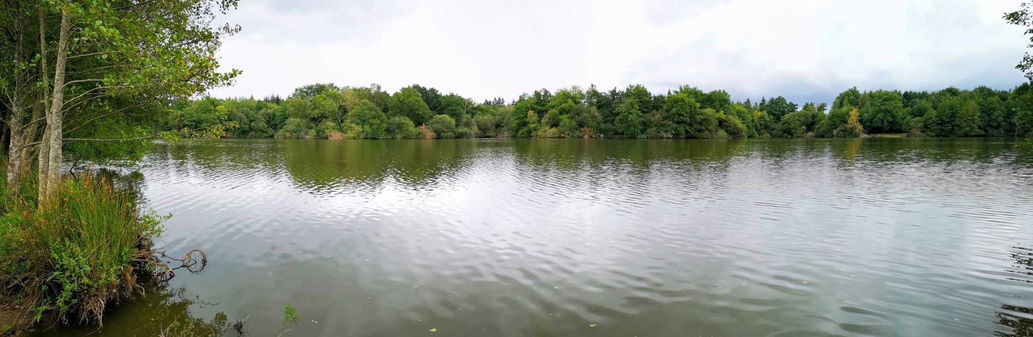 Pêche à l'étang des Bussières