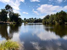 Ychoux en écorando - Circuit de l'étang des Forges