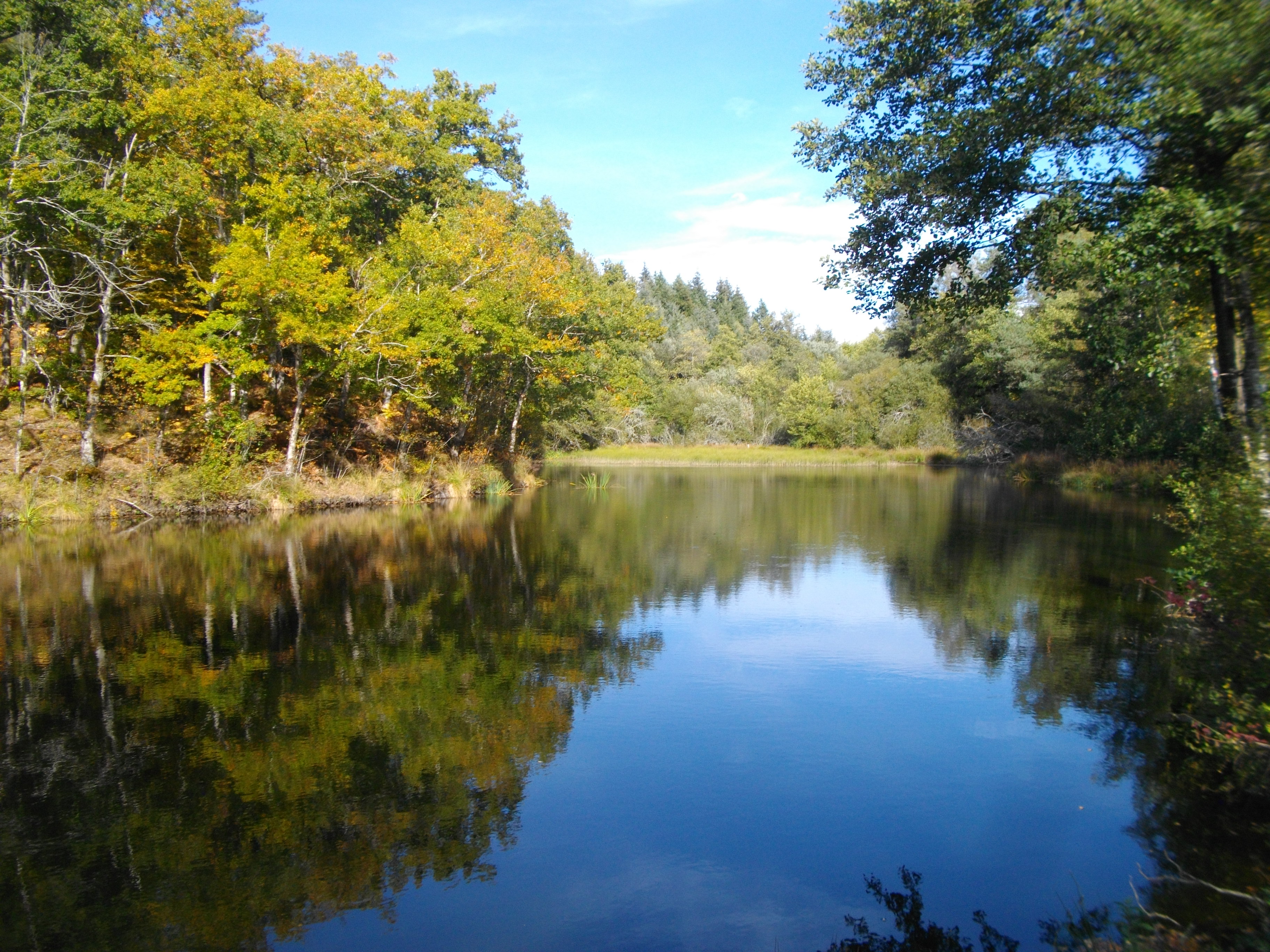 Cyclo - Circuit loisir Le lac de la Triouzoune - 14 km, Neuvic - photo 3