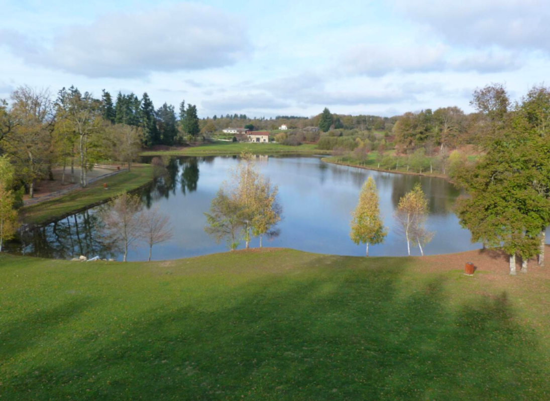 Étang de pêche et de handi-pêche du Ronlard - photo 4