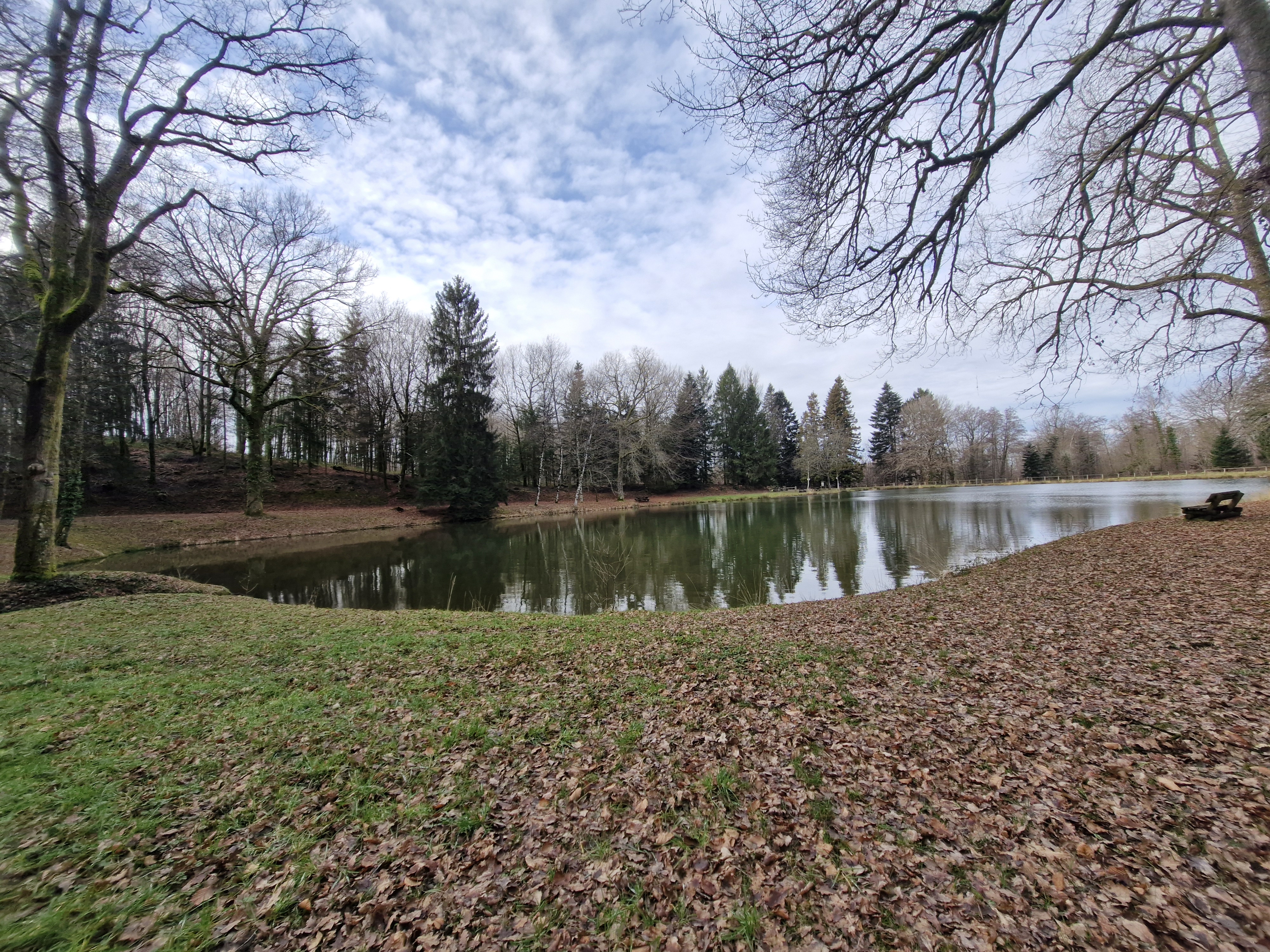 Forêt Domaniale - Saint-Sornin-Lavolps, Saint-Sornin-Lavolps - photo 8