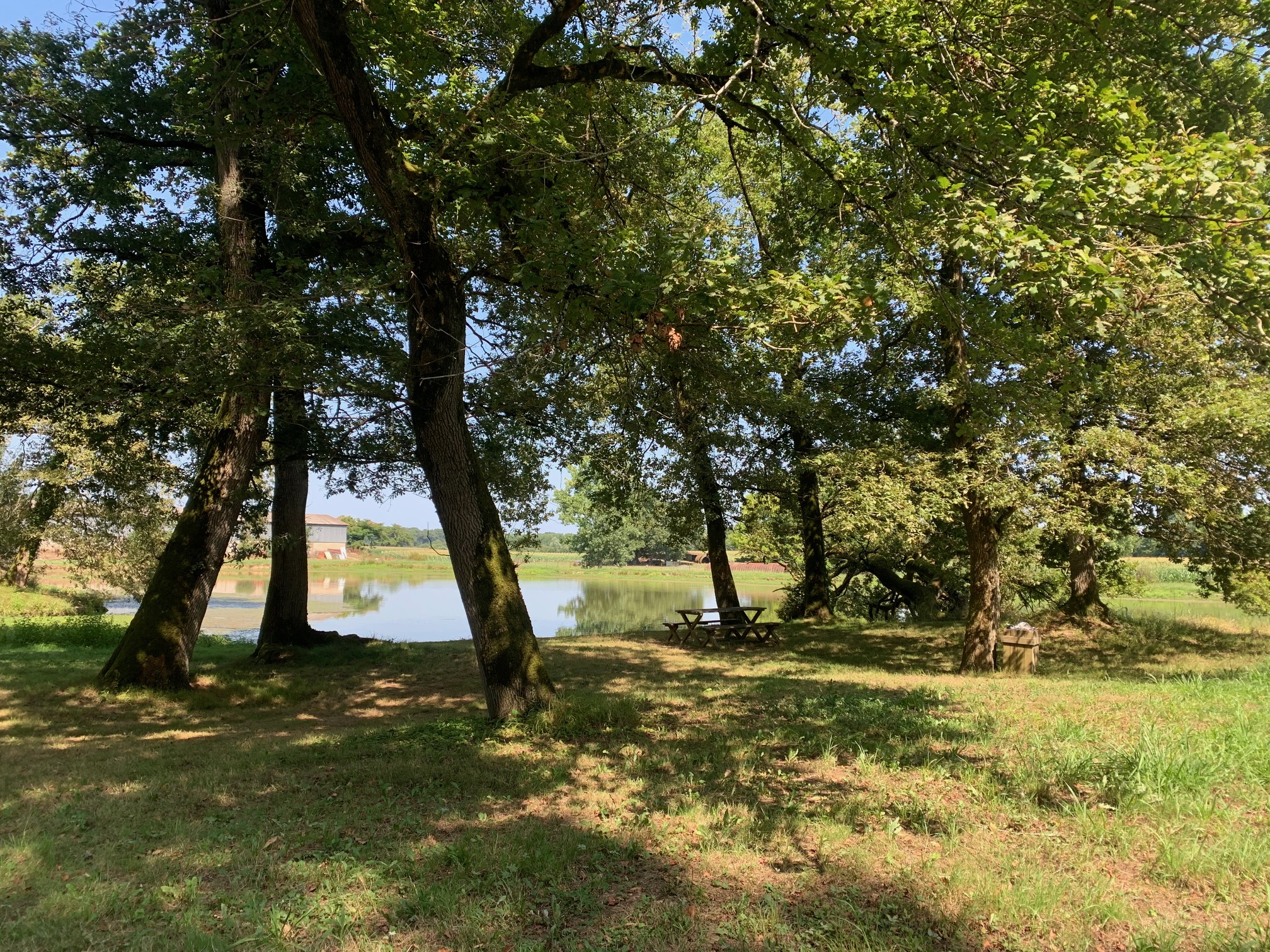 Gîte Maniort, Saint-Jean-de-Lier - photo 11