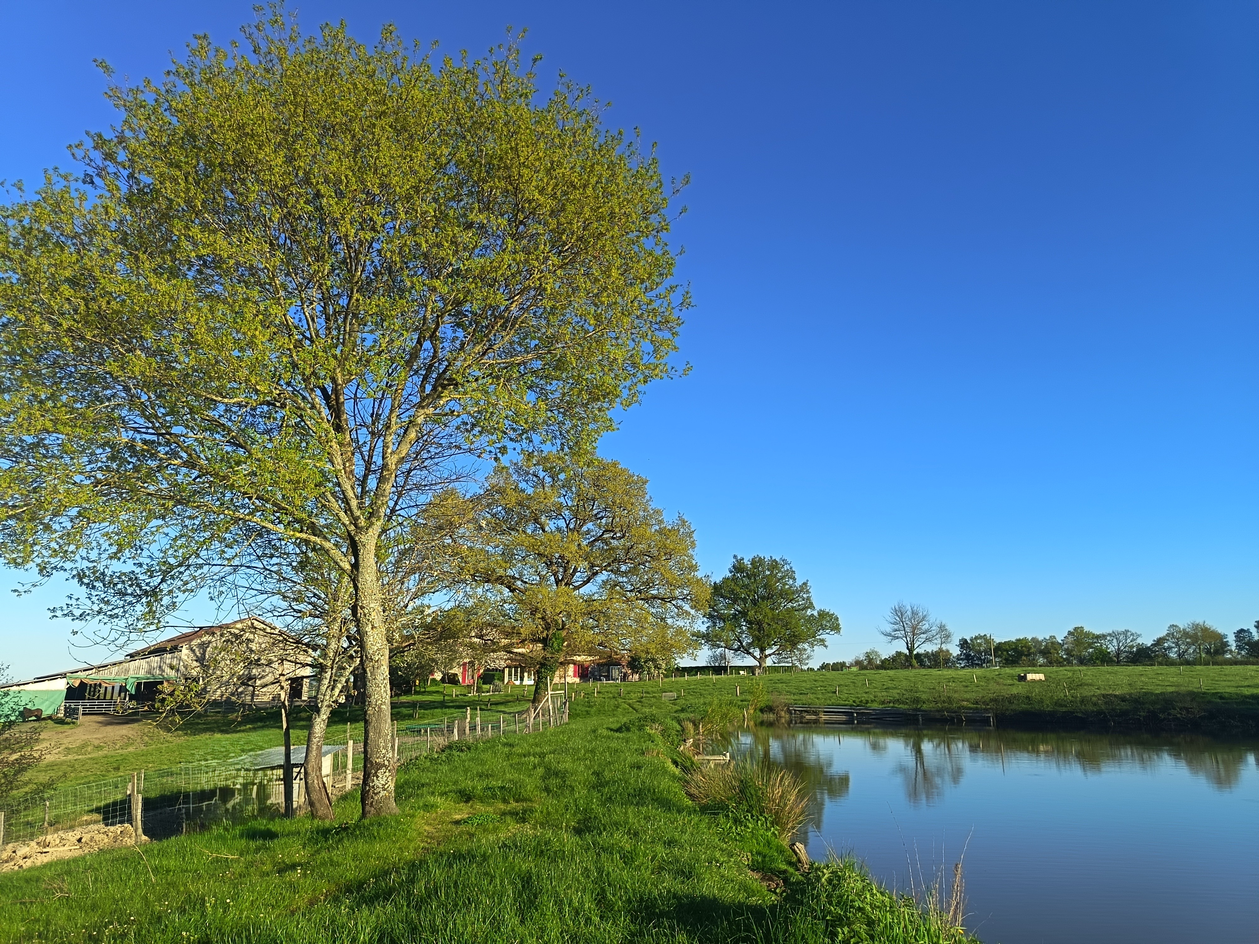 Le grand gîte, Peyrat-de-Bellac - photo 12