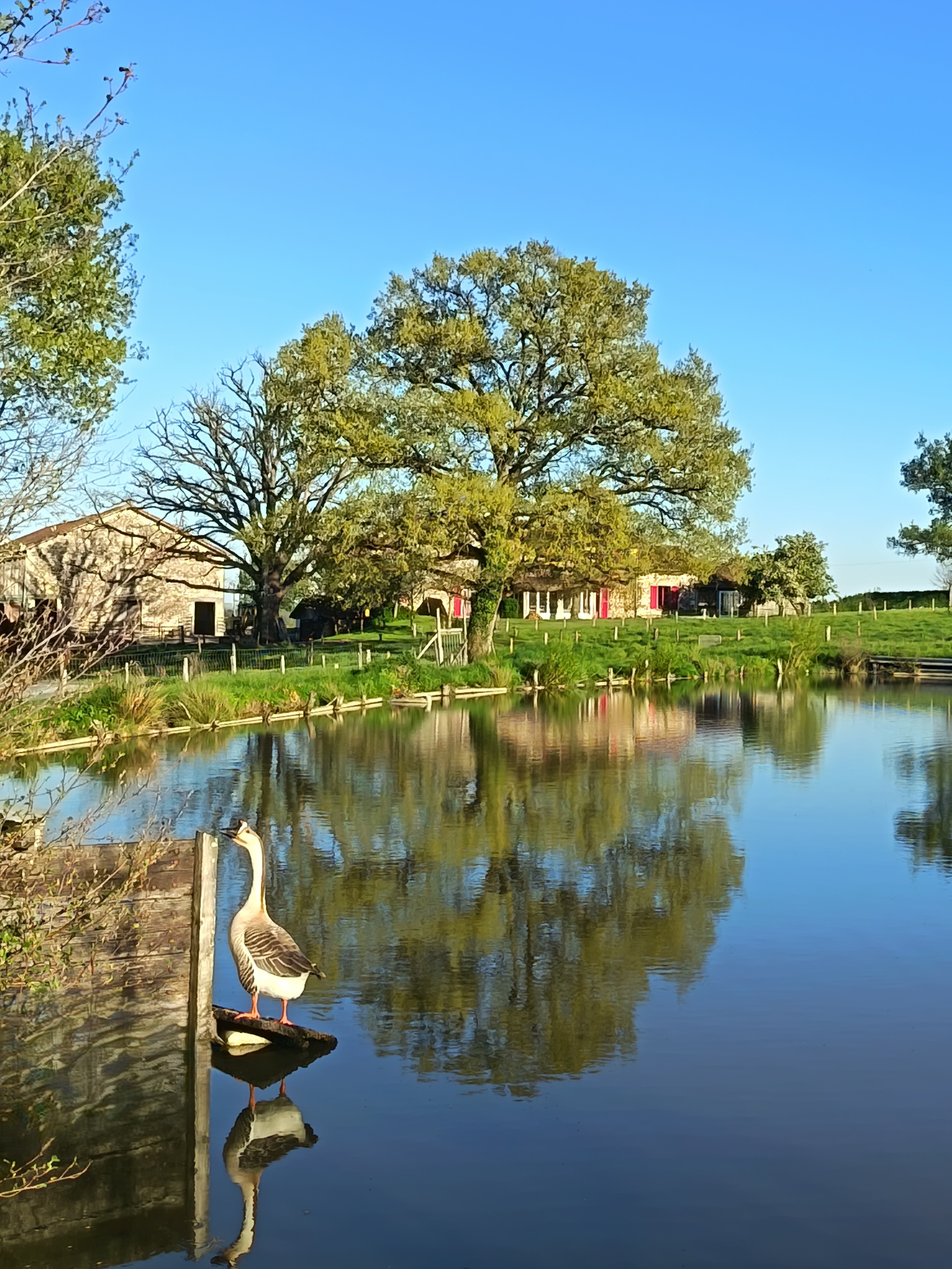 Le grand gîte, Peyrat-de-Bellac