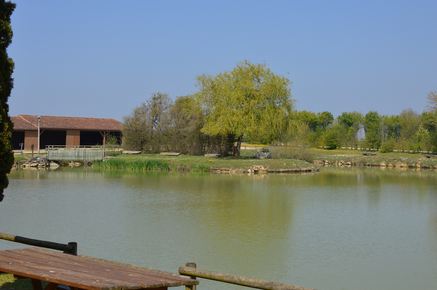 Etang des Marzelles, Messé - photo 4